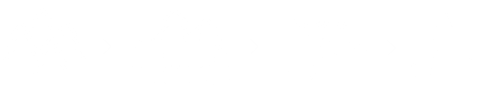 In 4 Schritten zum Grundwasserwald_Grafisch
